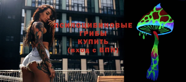 хмурый Бородино