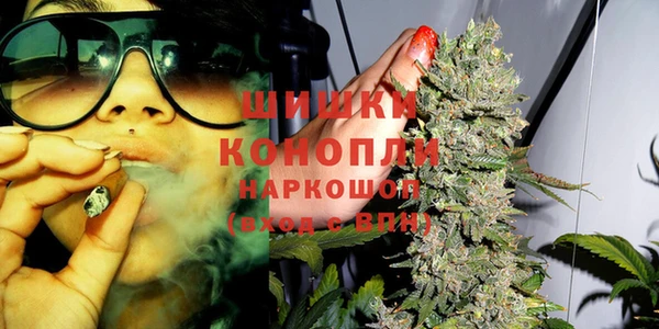 хмурый Бородино