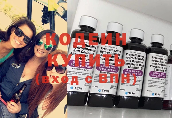 хмурый Бородино