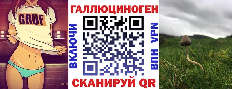 сколько стоит  Красноармейск  MEGA ссылки  Галлюциногенные грибы Psilocybine cubensis 