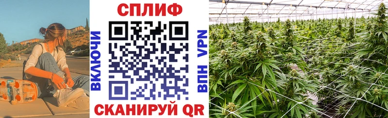 Бошки марихуана THC 21%  Красноармейск 